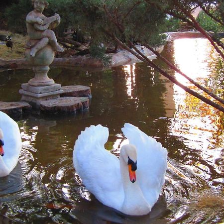 Pheasant Hill Bed And Breakfast Rietvalleirand Luaran gambar