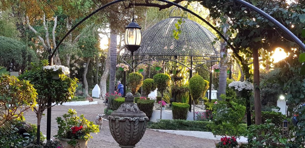 Pheasant Hill Bed And Breakfast Rietvalleirand Luaran gambar