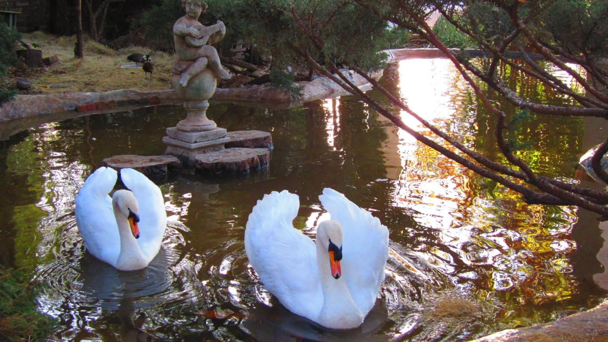 Pheasant Hill Bed And Breakfast Rietvalleirand Luaran gambar
